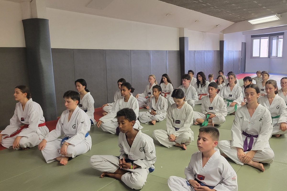 Cours de taekwondo ados à Lyon